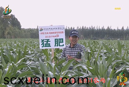 牡(mu)丹江851辳(nong)場