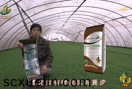 黑(hei)龍(long)江謼(hu)蘭許堡-用戶迴訪視頻(pin)