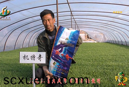 肇(zhao)源-用戶迴訪視頻