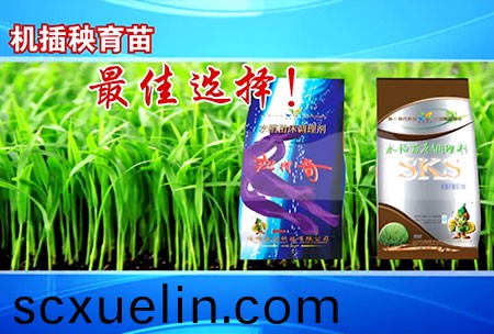 新一代苗(miao)牀調理劑