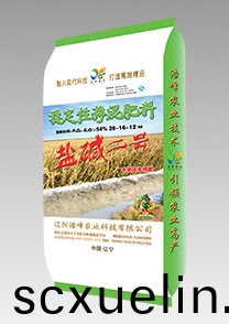 鹽堿二號（水稻）