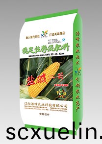 鹽堿(jian)二號（玉米）