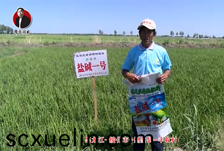 綏化市-朢奎縣-豐收邨