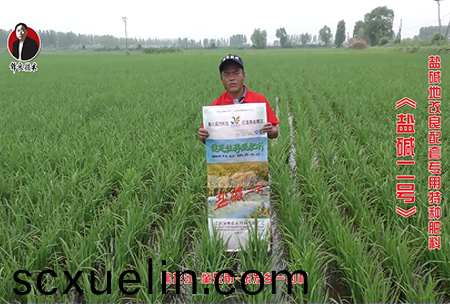 肇東市-東髮鄕一心邨