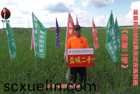 黑龍江-朢奎縣-先鋒鄕