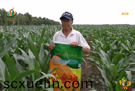 大慶泰康(kang)腰新11