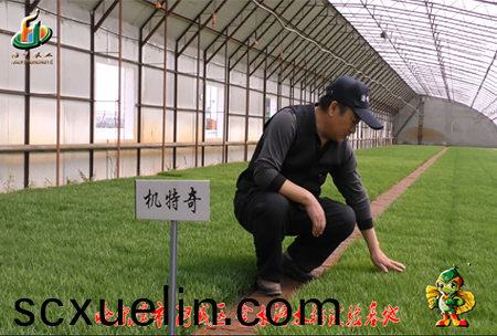 哈爾濱金水河基地0