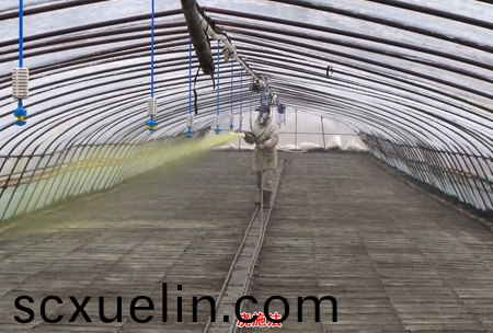 2-水溶壯秧劑-澆施用灋