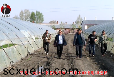 《錦良(liang)技術》苗牀(chuang)土的使用咊選擇